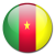 Flag of Cameroon